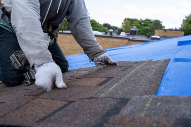 Quick and Trustworthy Emergency Roof Repair Services in Laurel, FL