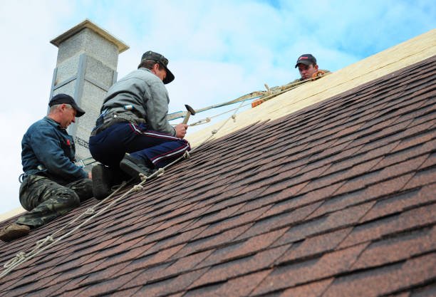 Roof Installation Near Me in Laurel, FL