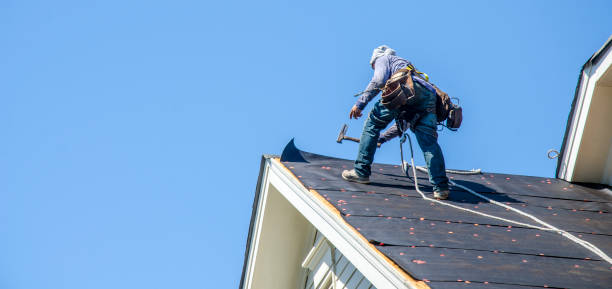 Best Storm Damage Roof Repair  in Laurel, FL